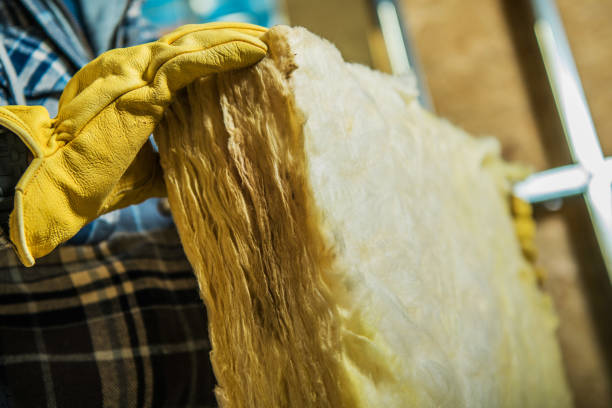 Best Local Insulation Services  in La Plata, MO