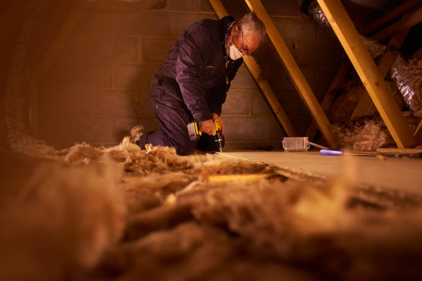 Range of Insulation Solutions in La Plata, MO